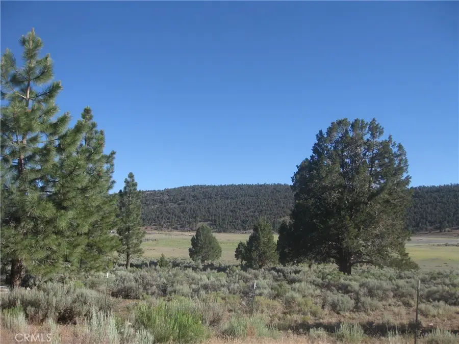 2809 Cedar Lane, Big Bear City, CA 92314 - #3