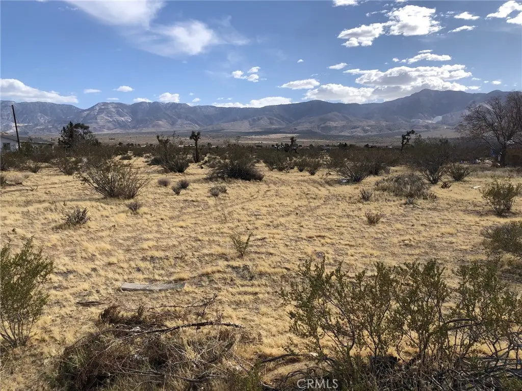 31357 Pawnee Street, Lucerne Valley, CA 92356 - #1