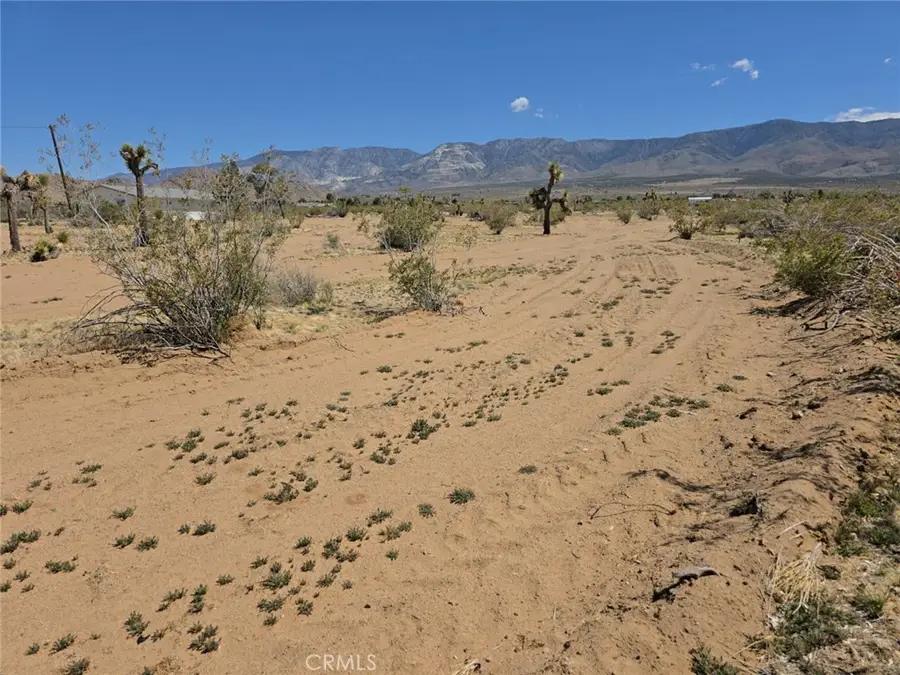 31357 Pawnee Street, Lucerne Valley, CA 92356 - #2