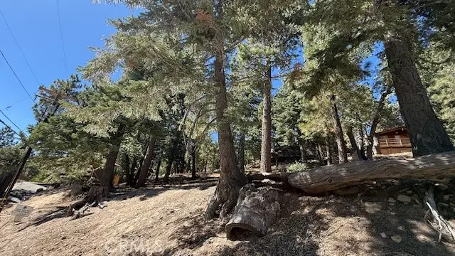 33112 Juniper Lane, Green Valley Lake, CA 92341 - #1