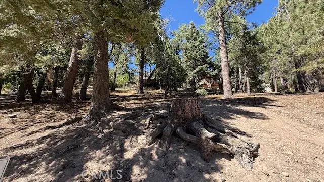 33112 Juniper Lane, Green Valley Lake, CA 92341 - #3