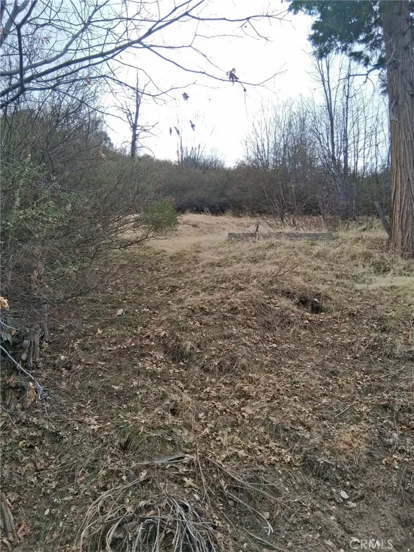 0 Pine Drive, Cedar Glen, CA 92321