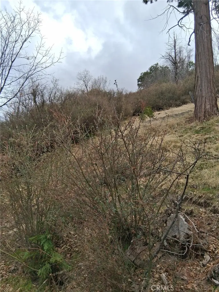 0 Pine Drive, Cedar Glen, CA 92321 - #2