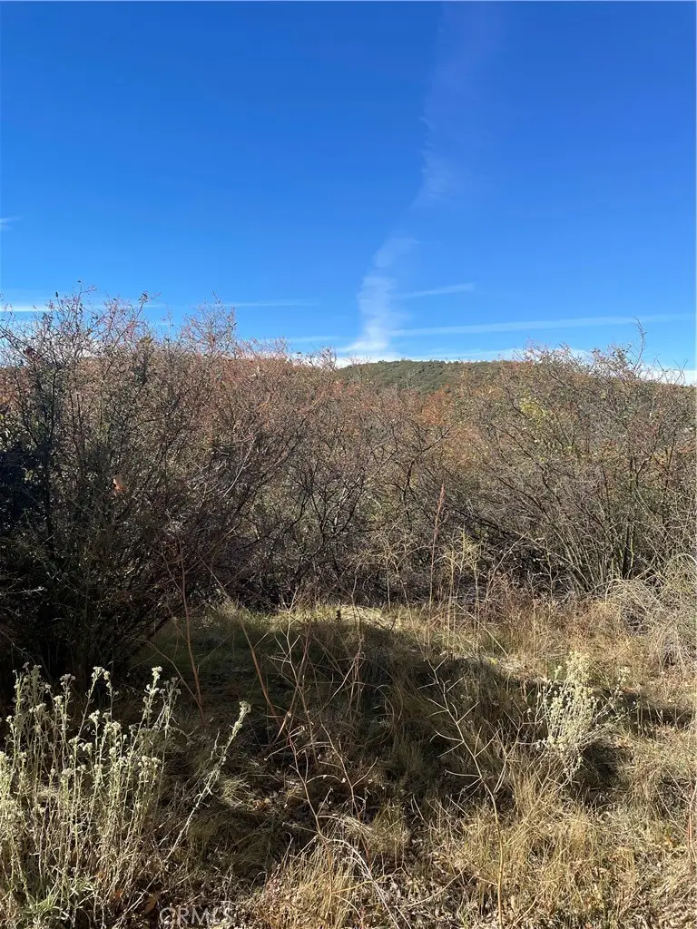 0 Acacia Road, Cedar Glen, CA 92321 - #1