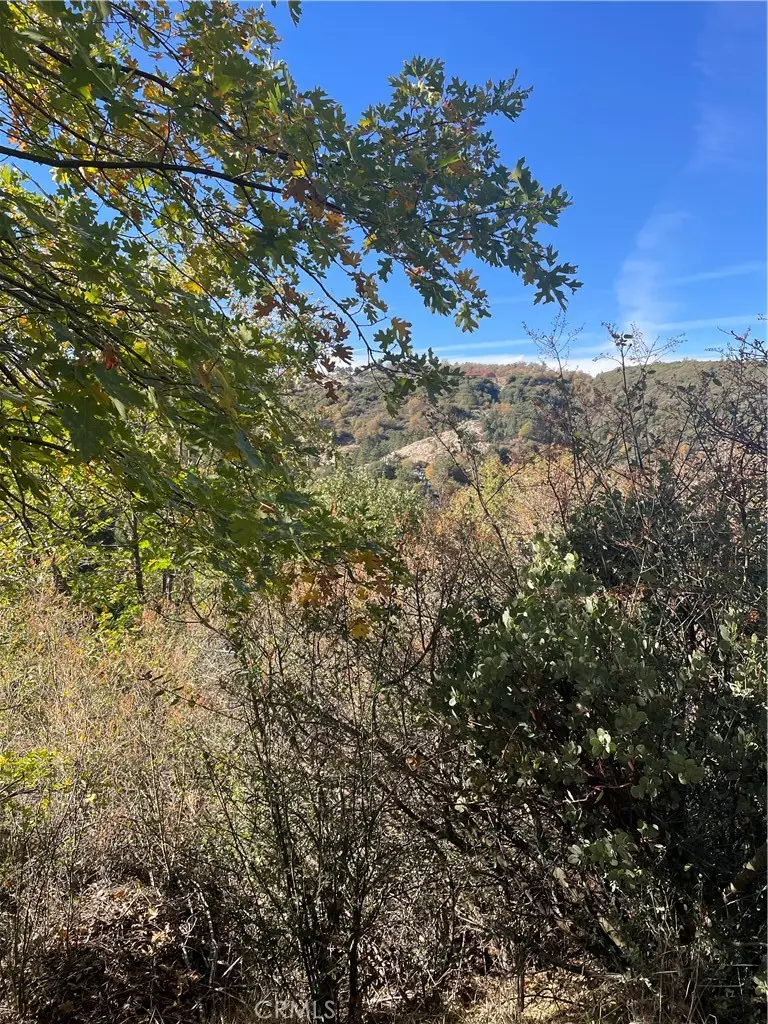 0 Acacia Road, Cedar Glen, CA 92321 - #2