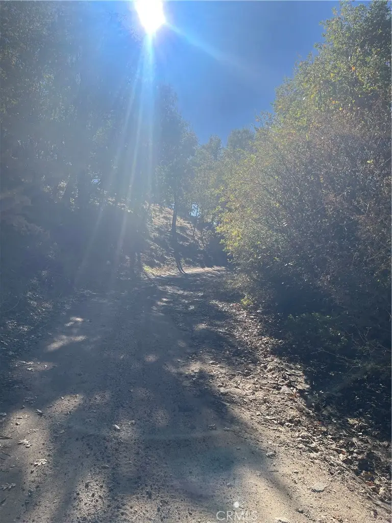 0 Acacia Road, Cedar Glen, CA 92321 - #3