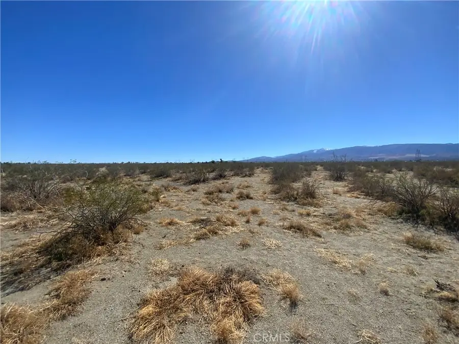 2975 Yucca Terrace, Pinon Hills, CA 92372 - #2