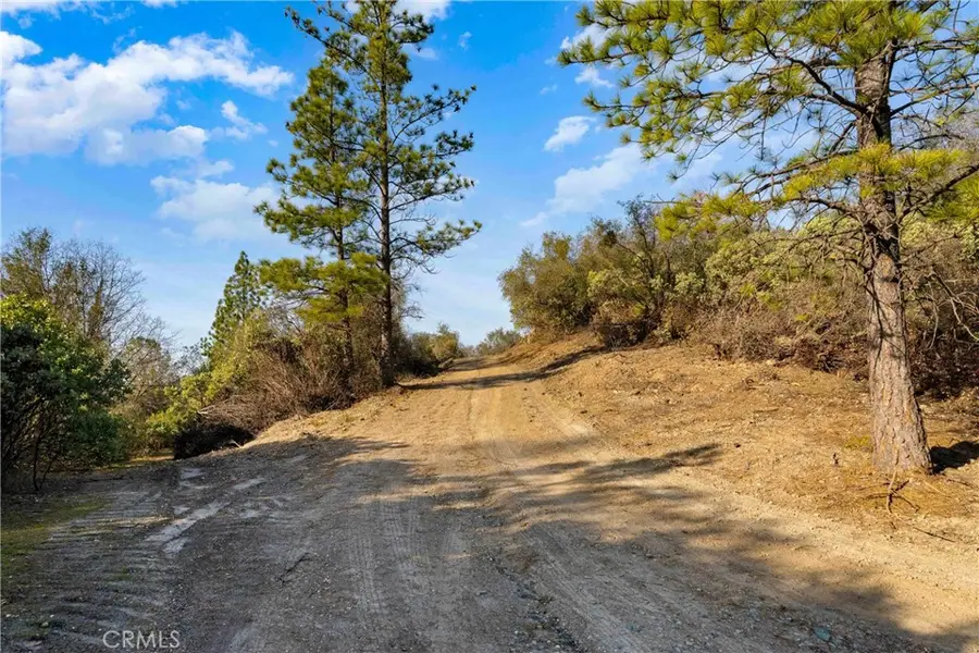 1 Ridgeview Circle, Sutter Creek, CA 95685 - #3