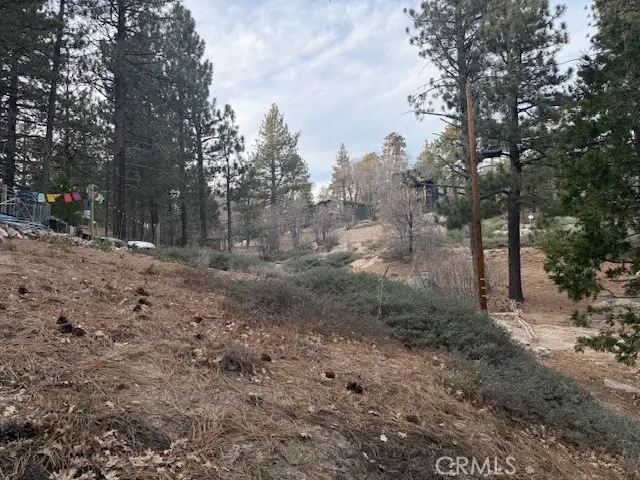 33275 Iris Drive, Green Valley Lake, CA 92341 - #2