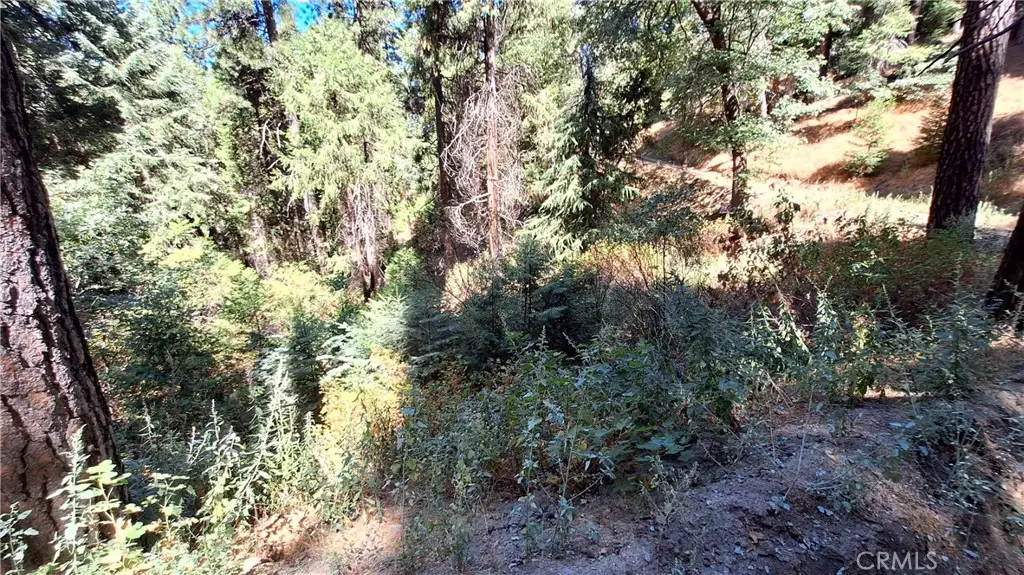 0 El Valle, Cedarpines Park, CA 92322 - Image #1