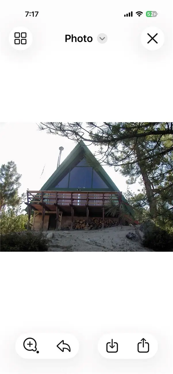 340 Bobcat Road, Big Bear City, CA 92314 - #3