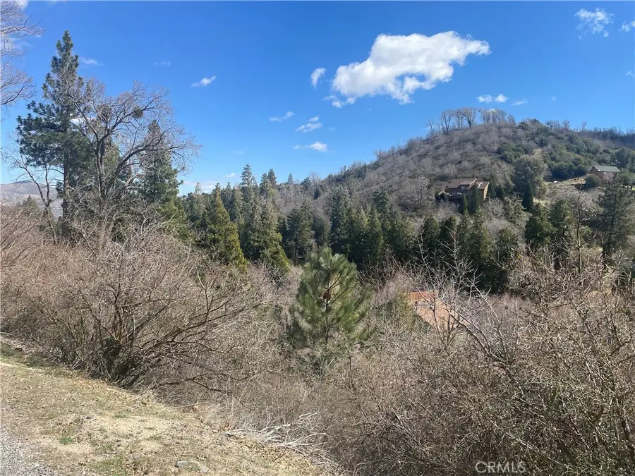 0 Pine Drive, Cedar Glen, CA 92321 - #2