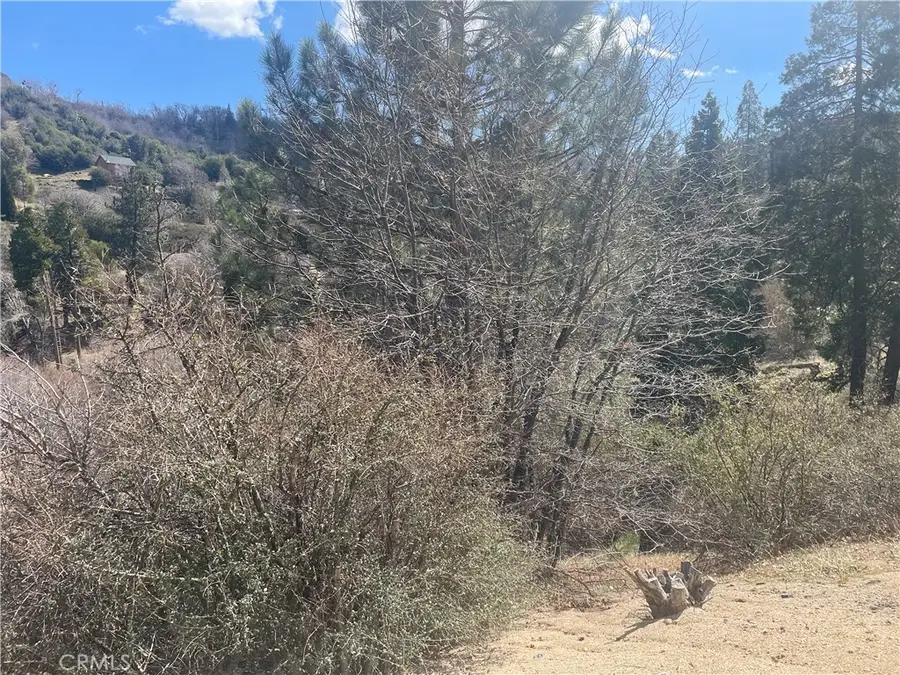 0 Pine Drive, Cedar Glen, CA 92321 - #3