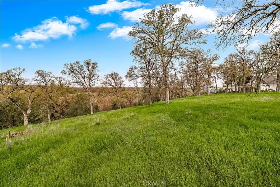 16475 River Heights Drive, Red Bluff, CA 96080 - #2