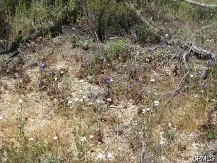 8 Dove Drive, Aguanga, CA 92536 - #2