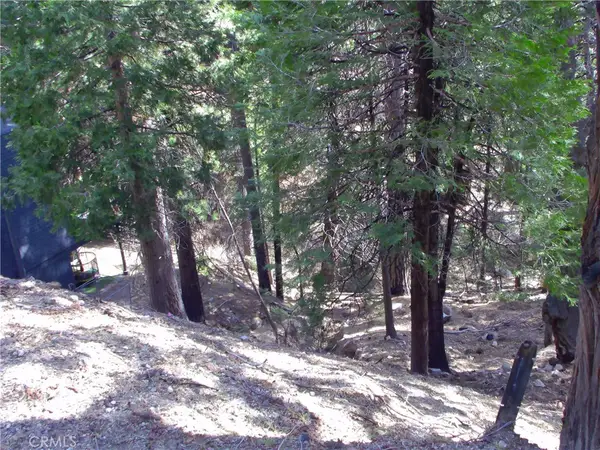 2379 Spring Oak, Running Springs, CA 92382