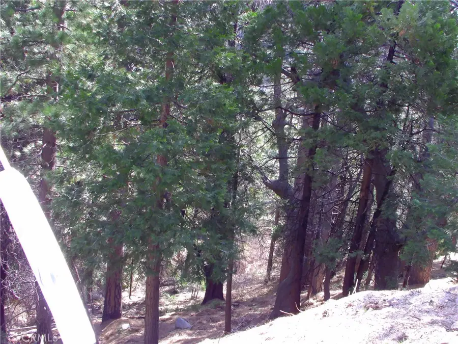 2379 Spring Oak, Running Springs, CA 92382 - #3