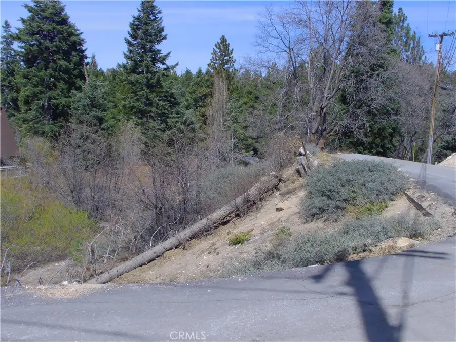 33564 Falling Leaf Dr., Green Valley Lake, CA 92341 - #3