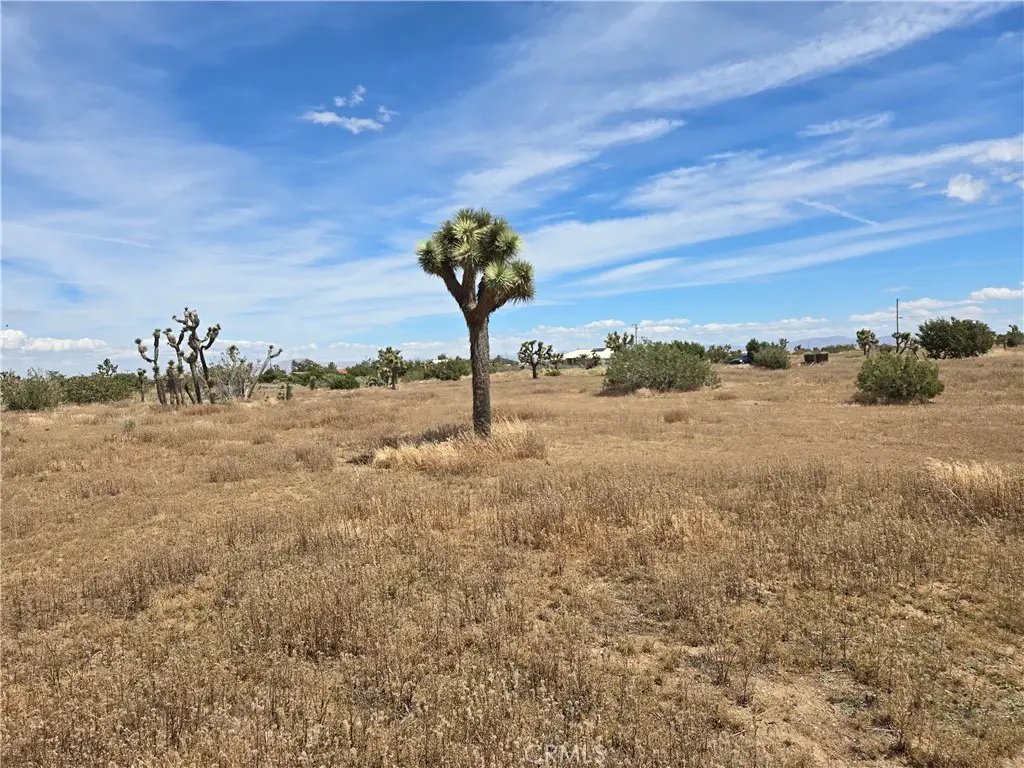 0 Aster, Oak Hills, CA 92344 - #1