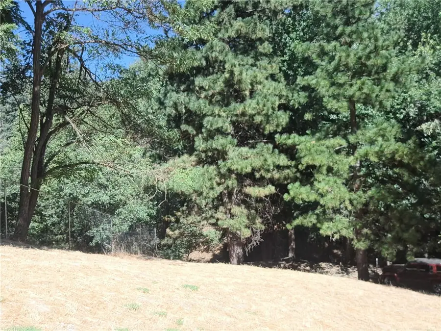 24814 Edelweiss, Crestline, CA 92325 - #2