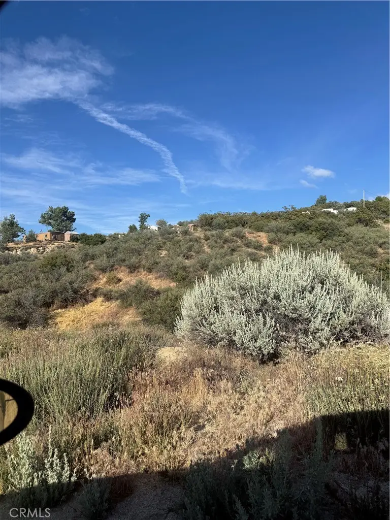 50750 Anzanita Lane, Anza, CA 92539 - #1