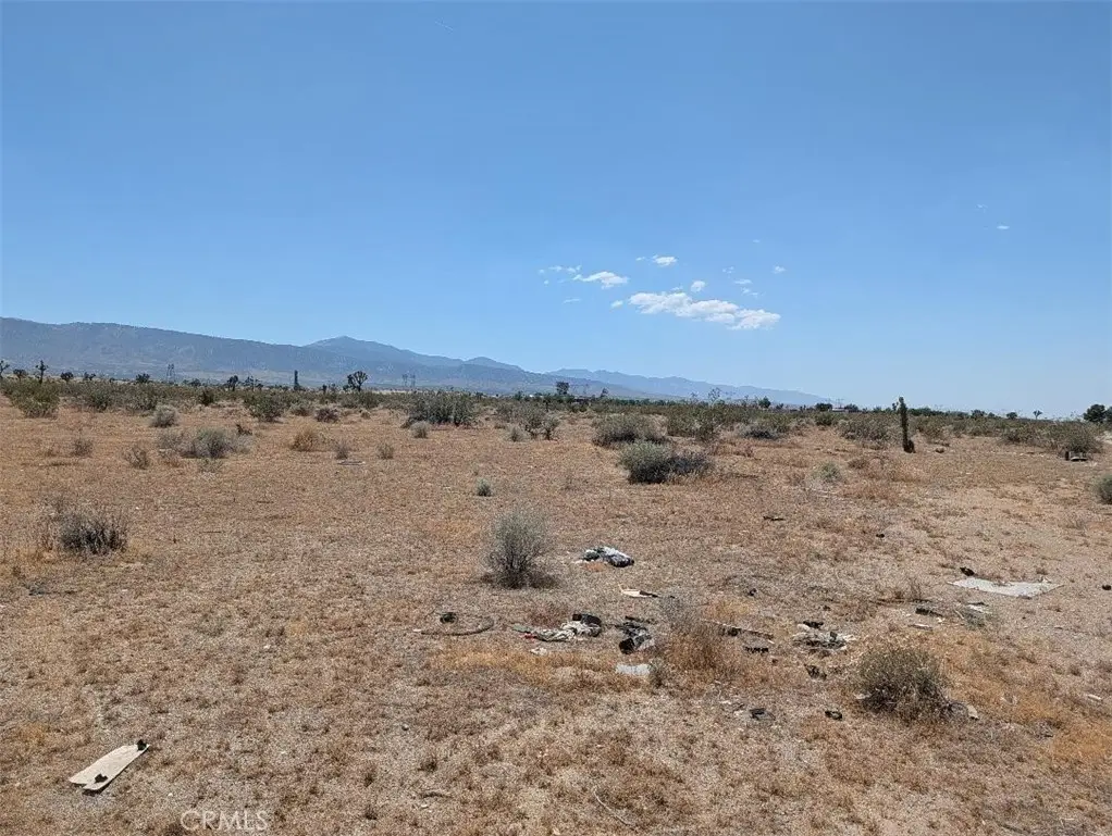 7 Dos Palmas, Pinon Hills, CA 92372 - #1