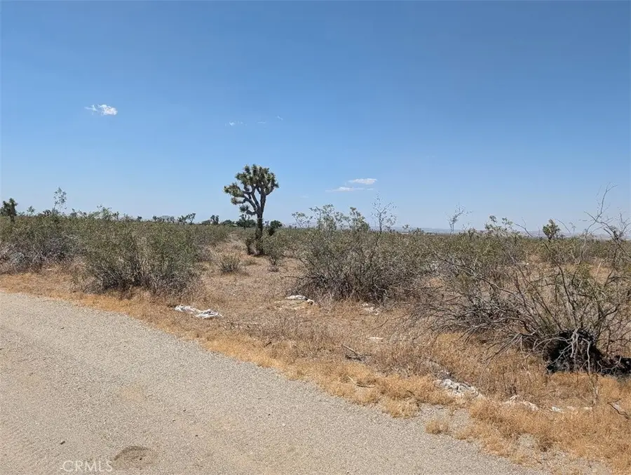 3 Dos Palmas, Pinon Hills, CA 92372 - #2