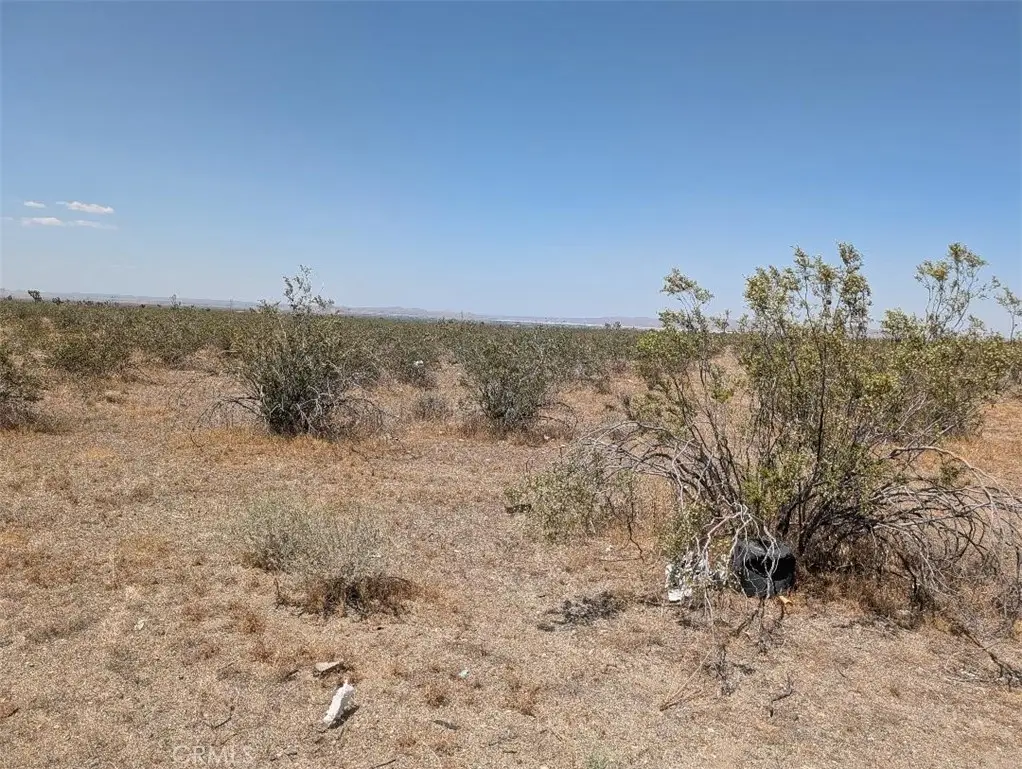 4 Blanco, Pinon Hills, CA 92372 - #1
