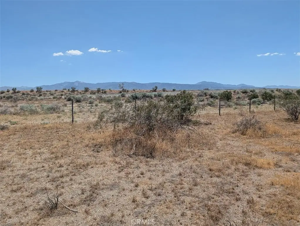 4 Avenue Xave #x2, Llano, CA 93544 - #1