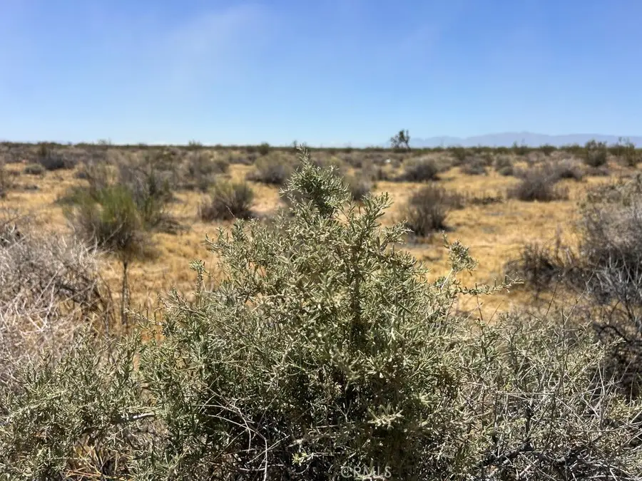 0 Sun Rose, Adelanto, CA 92301 - #2