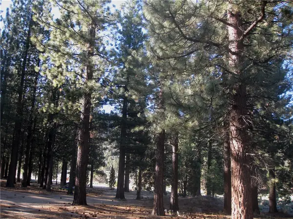 2818 Erwin Ranch Rd, Big Bear City, CA 92314