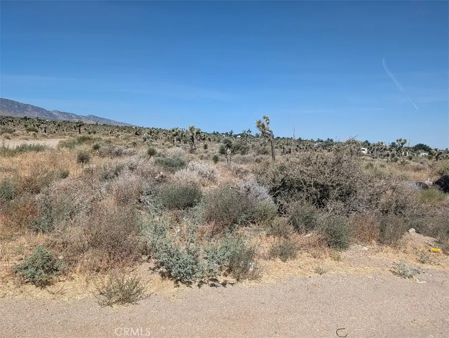 12 Sheep Creek, Phelan, CA 92371 - #3