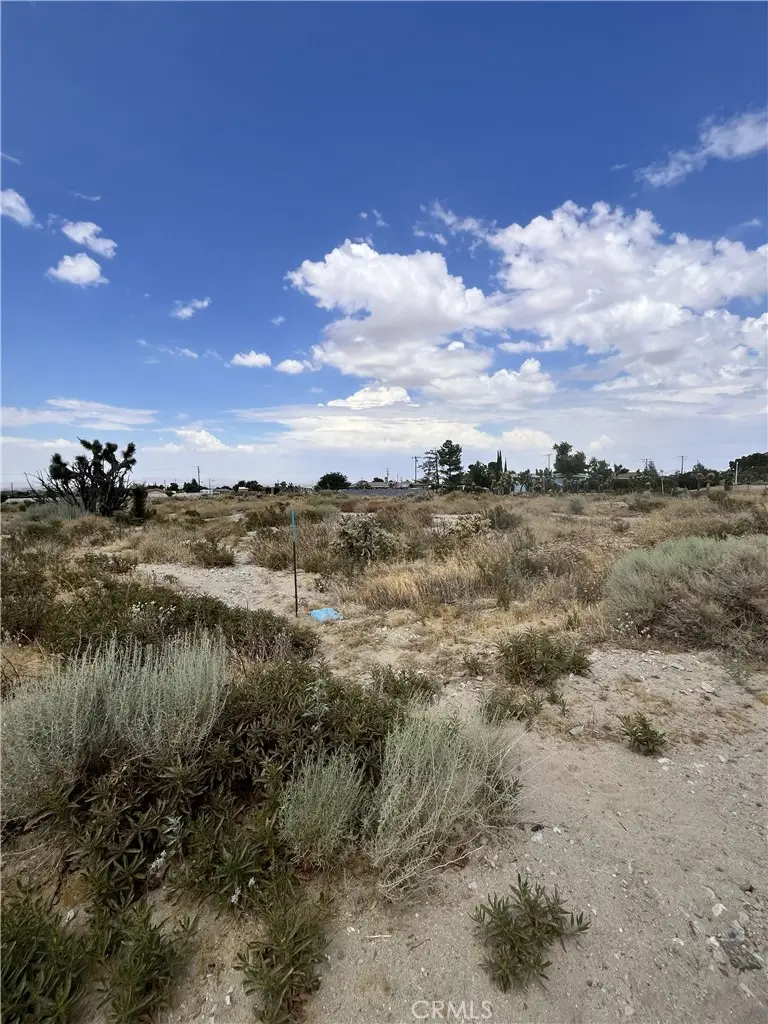 0 Hollister Road, Phelan, CA 92371 - #3