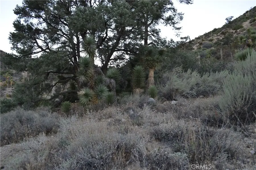 0 Verde, Pinon Hills, CA 92372 - #2
