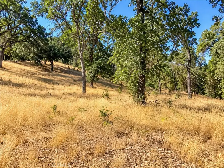 7114 Horseshoe, Corning, CA 96021 - #2