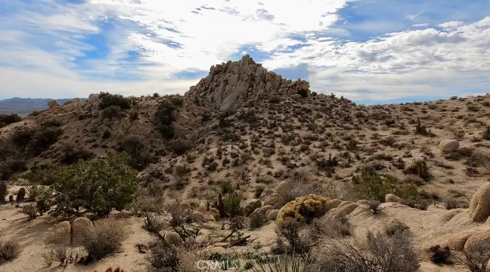 56819 Plaza Del Amigo, Yucca Valley, CA 92284 - #1