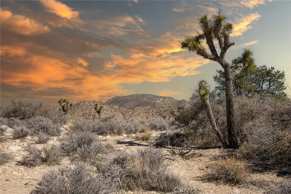 48400 Madison Road, Pioneertown, CA 92268