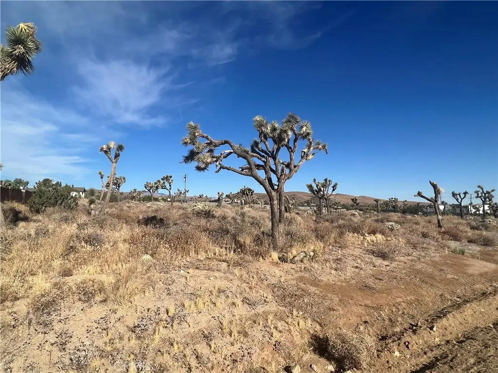 111 Wallaby, Yucca Valley, CA 92284 - #1