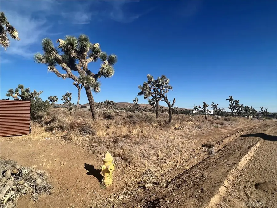 111 Wallaby, Yucca Valley, CA 92284 - #3