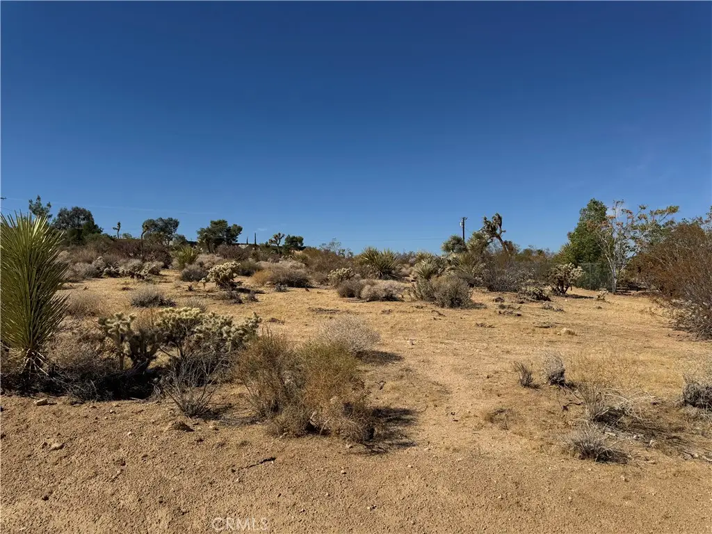 7218 Juniper, Joshua Tree, CA 92252 - #1