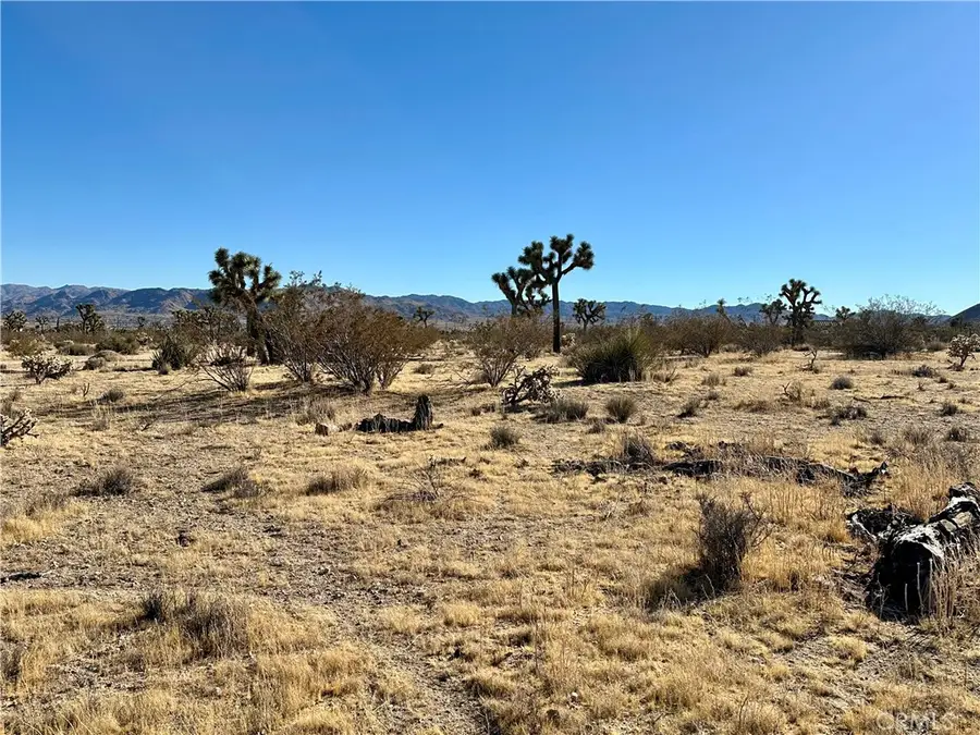 4726 Paradise View Road, Yucca Valley, CA 92284 - #3
