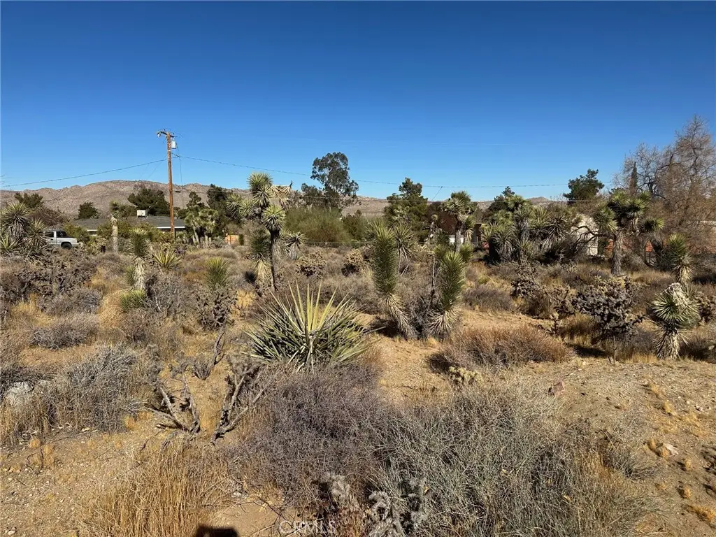 56434 Desert Gold Drive, Yucca Valley, CA 92284 - #1