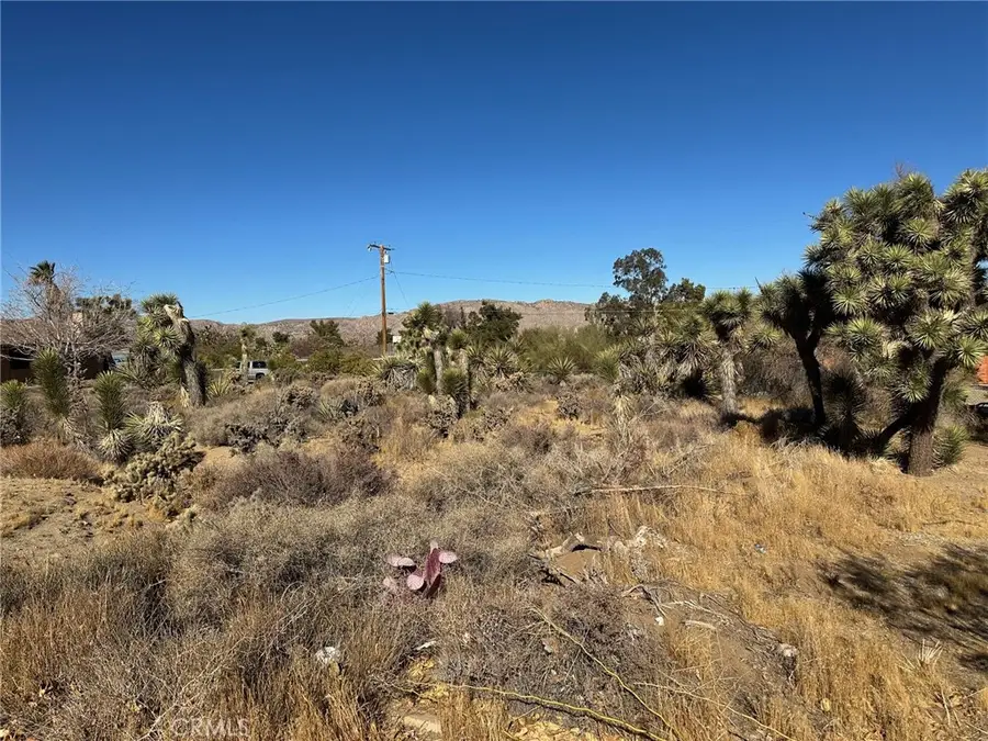 56434 Desert Gold Drive, Yucca Valley, CA 92284 - #3