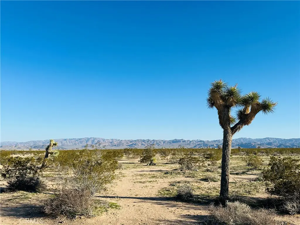 1974 Sunset Road, Joshua Tree, CA 92252 - #1