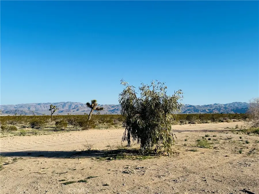 1974 Sunset Road, Joshua Tree, CA 92252 - #2