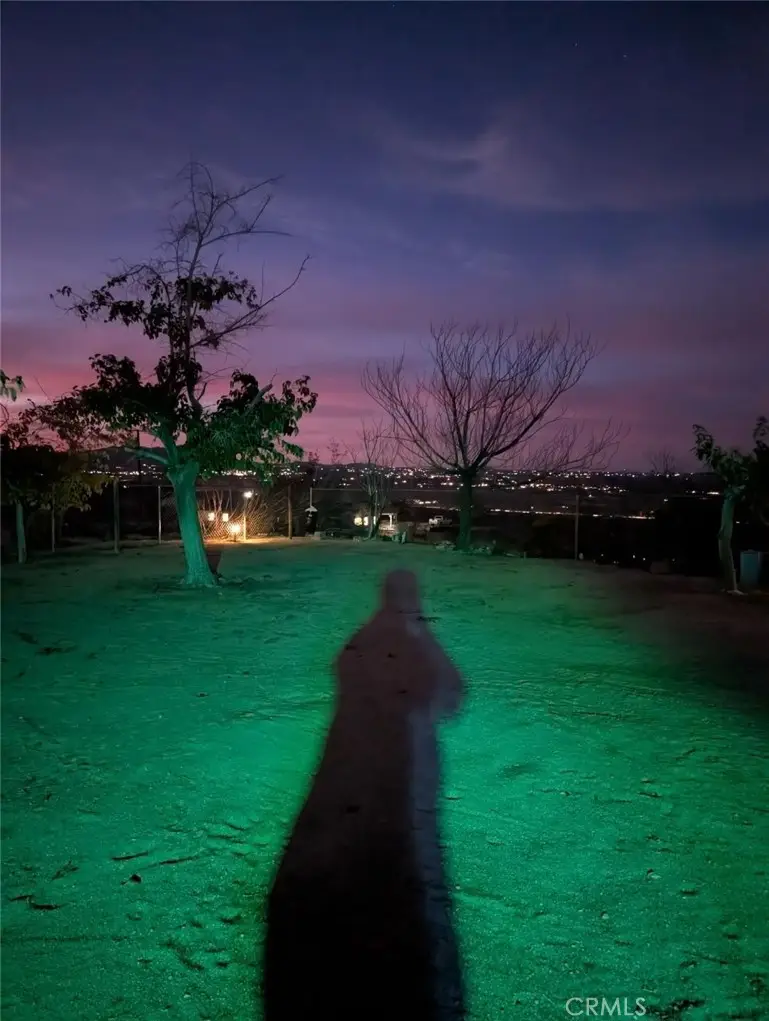 7117 Bonita Avenue, Joshua Tree, CA 92252 - Image #2