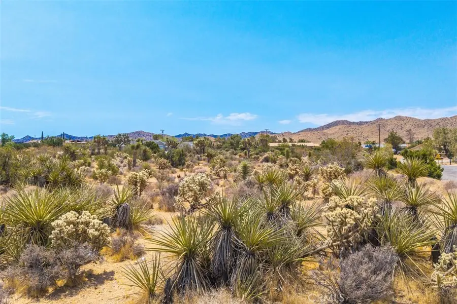 1234 Ivanhoe Drive, Yucca Valley, CA 92284 - #2