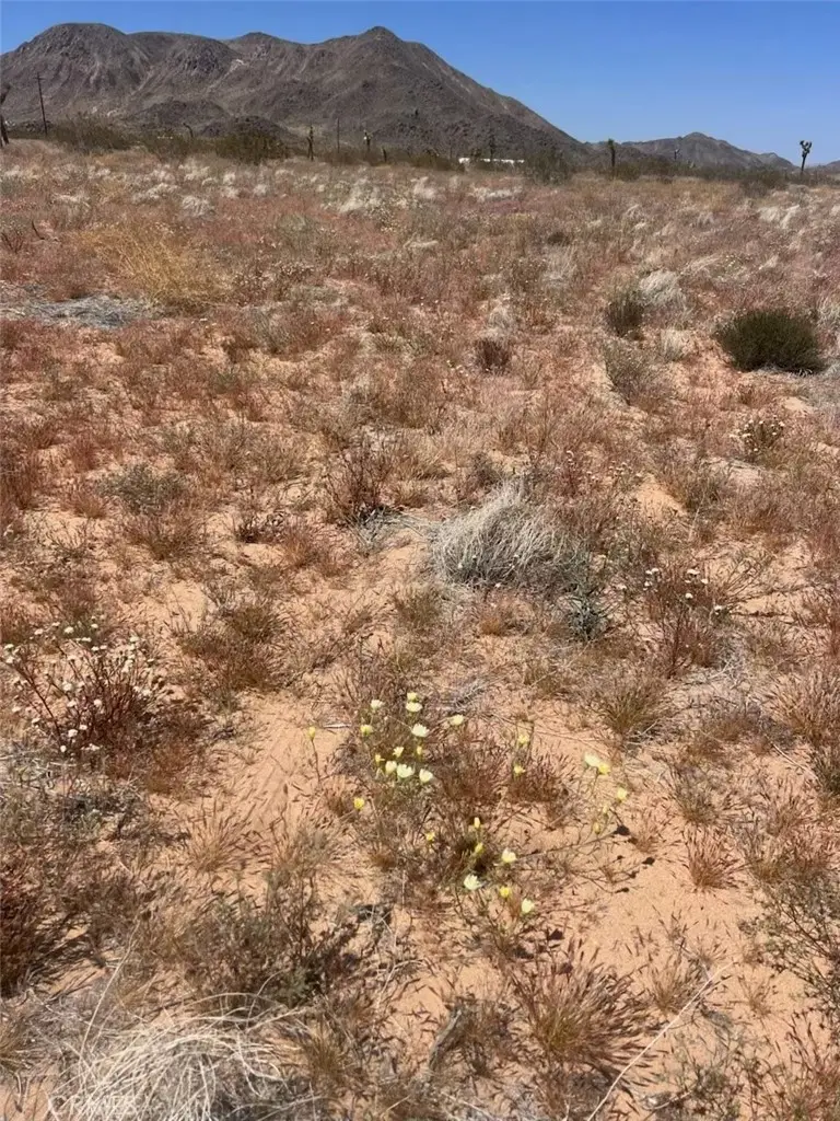 59990 Mitch Lane, Landers, CA 92285 - Image #3