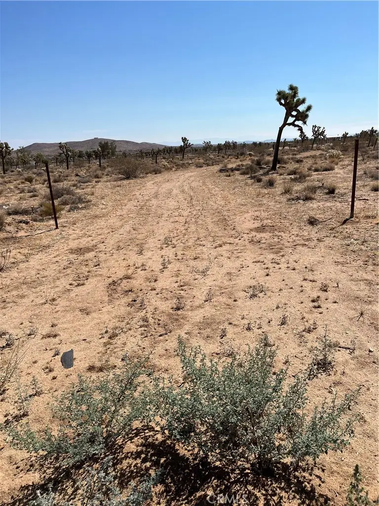 2801 Avalon Avenue, Yucca Valley, CA 92284 - #1