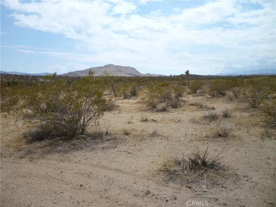 2345 Sunny Sands Drive, Joshua Tree, CA 92252 - Image #2